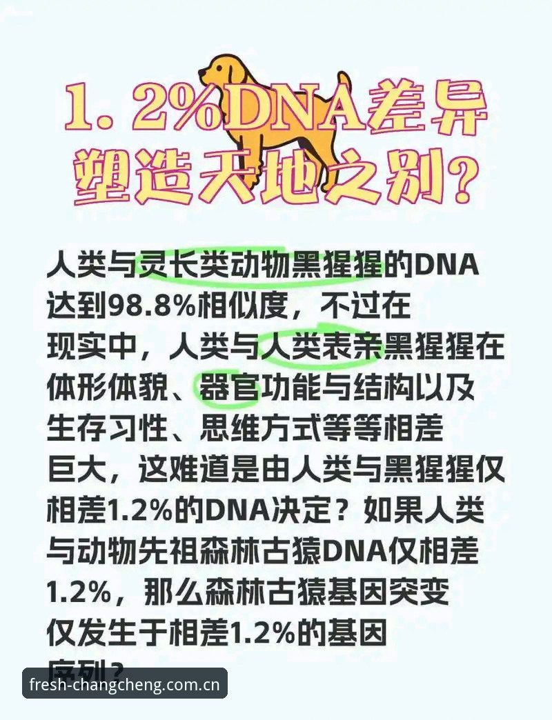 98.8%出线概率？挪威主帅说“完全没用”——数据模型与实战判断的对比